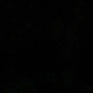 Meet your Posher, Tatum